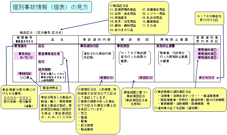 個別事故情報（個表）の見方