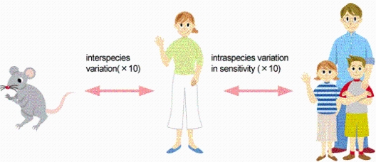 The illustration which explains UF (Uncertainty Factor)