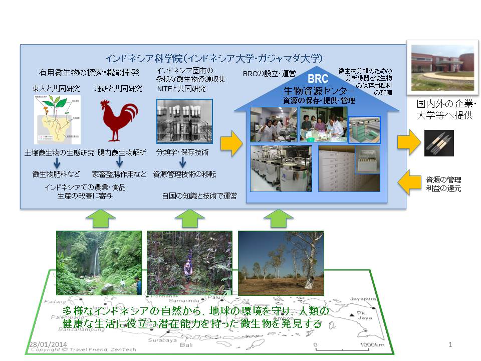 SATREPS概要