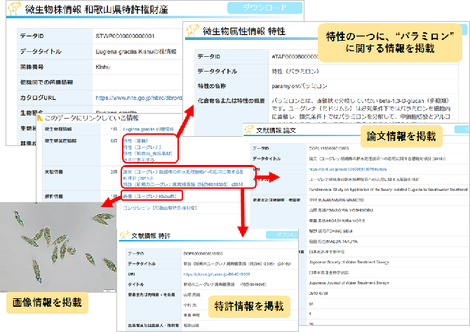 和歌山県特許権財産 