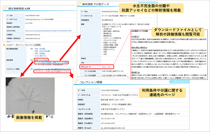 味の素株式会社の登録データ画面